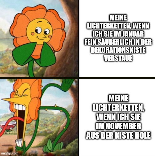 Sonnenblumen-Meme. Brave Sonnenblume: Meine Lichterketten, wenn ich sie im Januar fein säuberlich in der Dekorationskiste verstaue. Wütende Sonnenblume: Meine Lichterketten, wenn ich sie im November aus der Kiste hole.