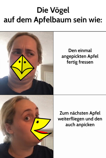 Die Vögel auf dem Apfelbaum sein wie: Den einmal angepickten Apfel fertig fressen ✋ / Zum nächsten Apfel weiterfliegen und den auch noch anpicken👍