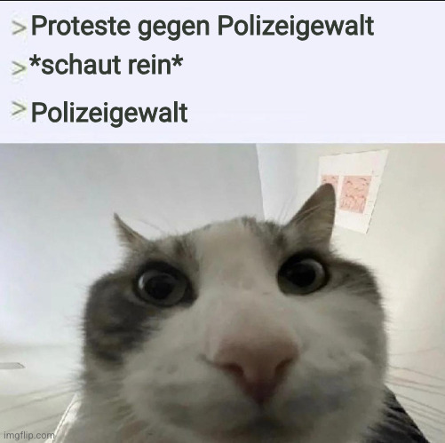 Katze schaut rein: "Proteste gegen Polizeigewalt" - "*schaut rein*" - "Polizeigewalt"
