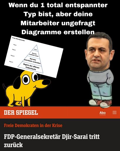 Wenn du 1 total entspannter Typ bist, aber deine Mitarbeiter ungefragt Diagramme erstellen (FDP-Generalsekretär Djir-Sarai tritt zurück