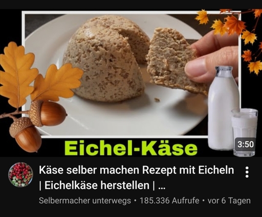 Screenshot von youtube mit thumbnail über Eichel-Kase