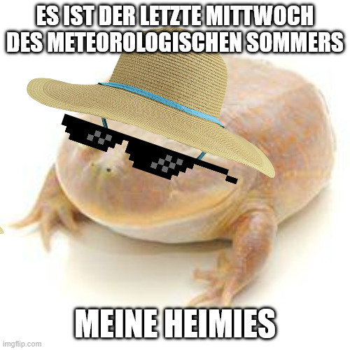 Frosch mit Sonnenbrille und Hut: es ist der letzte Mittwoch des meteorologischen Sommers, meine Heimies