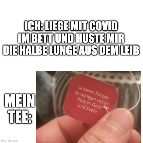 Ich: Liege mit Covid im Bett und huste mir die halbe Lunge aus dem Leib.

Mein Tee: Foto eines Teebeutel-Anhängers mit dem Text "Unseren Körper zu reinigen stärkt Körper, Geist und Seele"