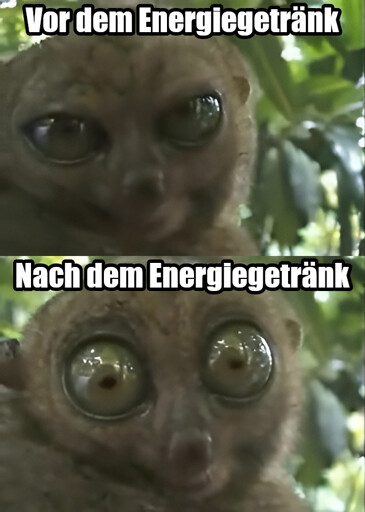 Ein Michmich mit zwei Bildern. Oben: Ein putziger brauner Lemur, der mit nur leicht geöffneten Augen lässig in die Kamera blickt. Darüber der Text: "Vor dem Energiegetränk". Darunter der selbe putzige Lemur mit extrem weit geöffneten Augen. Darüber der Text: "Nach dem Energiegetränk".