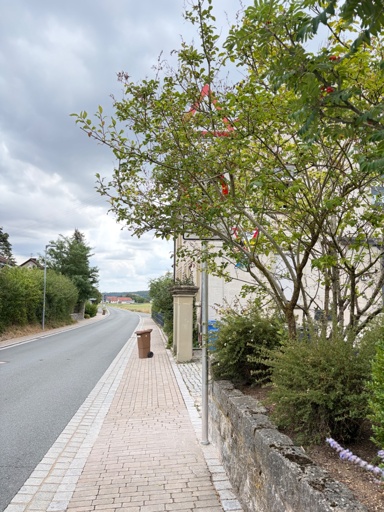 Beginn einer neuen 30er Zone vor einem Kindergarten. Leider komplett unsichtbar, da es hinter einem Baum/Strauch installiert wurde.