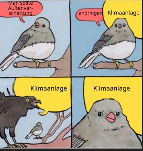 Genervter Vogel Mem: "Man sollte Außenverschattung anbringen" "Klimaanlage!" "Klimaanlage!" "Klimaanlage!"