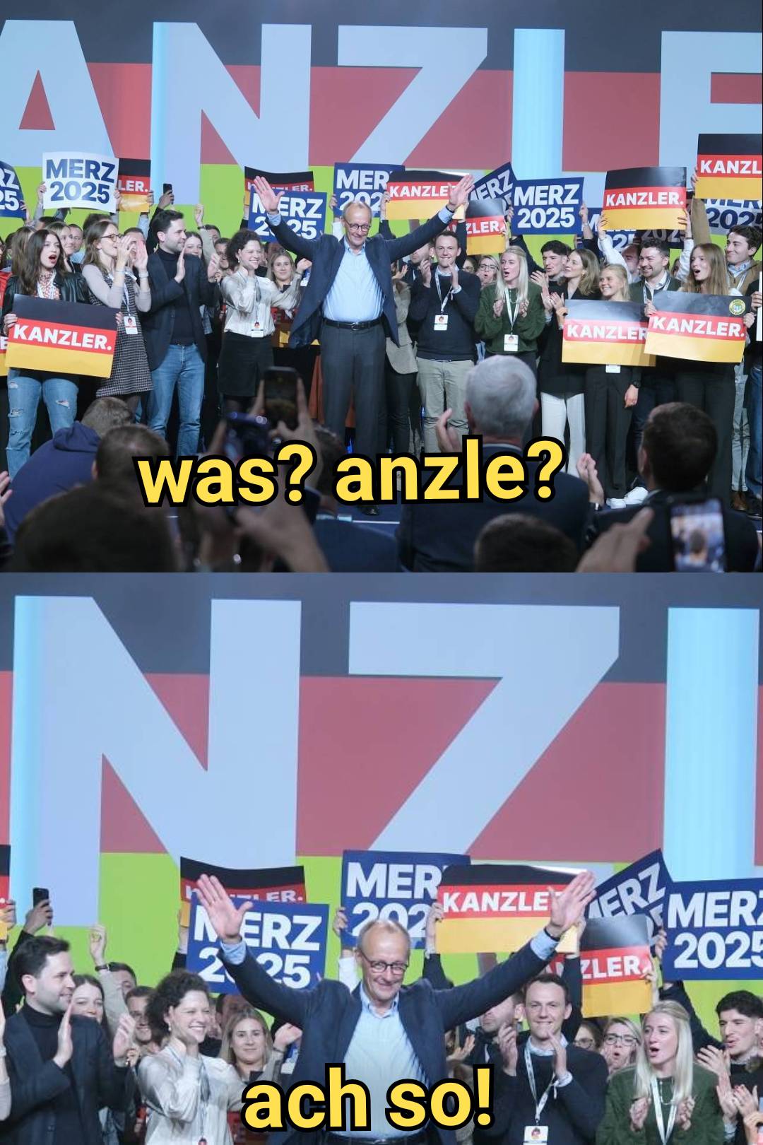 Anzle Merz vs. NZI