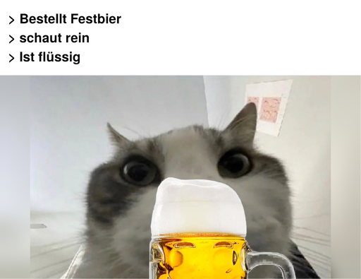 Katze schaut in Bierglas: Bestellt Festbier - schaut rein - Ist flüssig