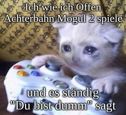 Ich wie ich Offen Achterbahn Mogul 2 spiele und es ständig "Du bist dumm" sagt. Im Hintergrund ist eine traurige Katze