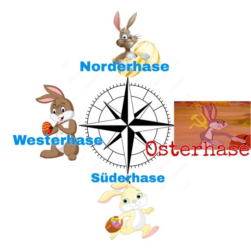 Kompass mit Norder-, Oster-, Süder-, Westerhase